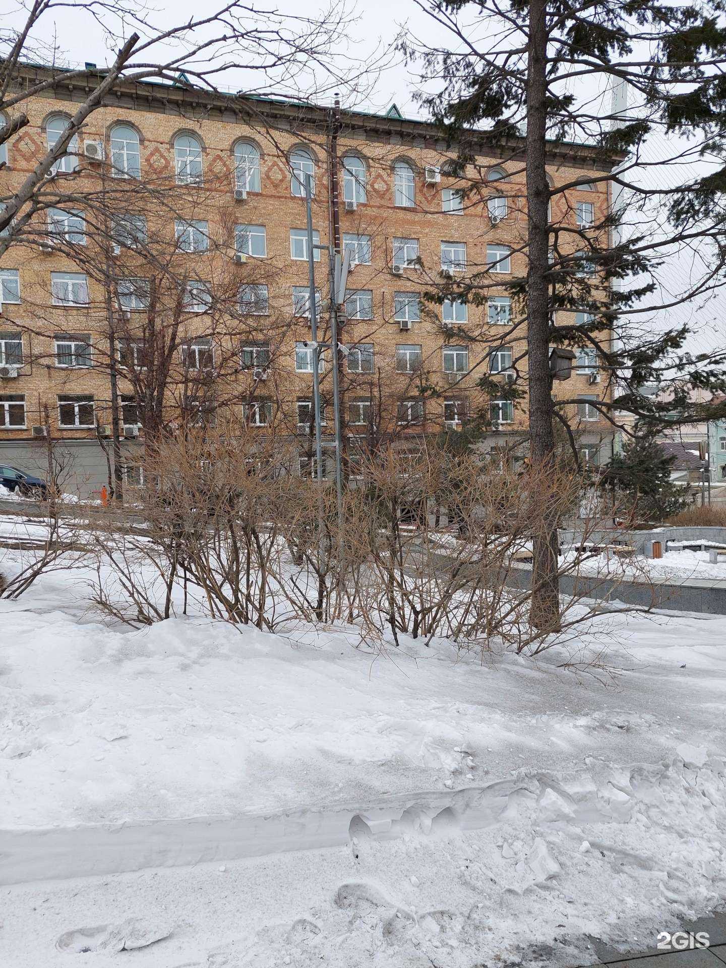 Отзывы на компанию Culturica в Владивостоке c фото