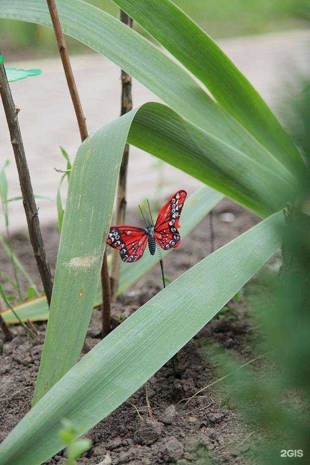 Отзывы на компанию Детский сад комбинированного вида №8 в г. Курск c фото