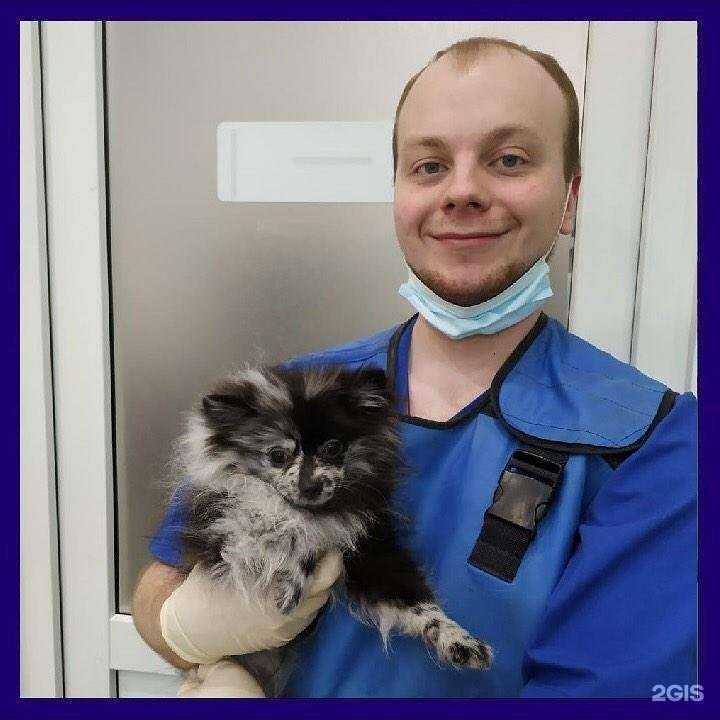 Отзывы на компанию VegaPetShop в г. Новосибирск c фото