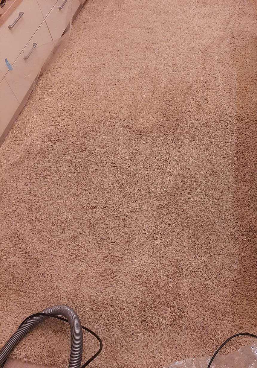 Отзывы на компанию Чистюля в г. Новосибирск c фото