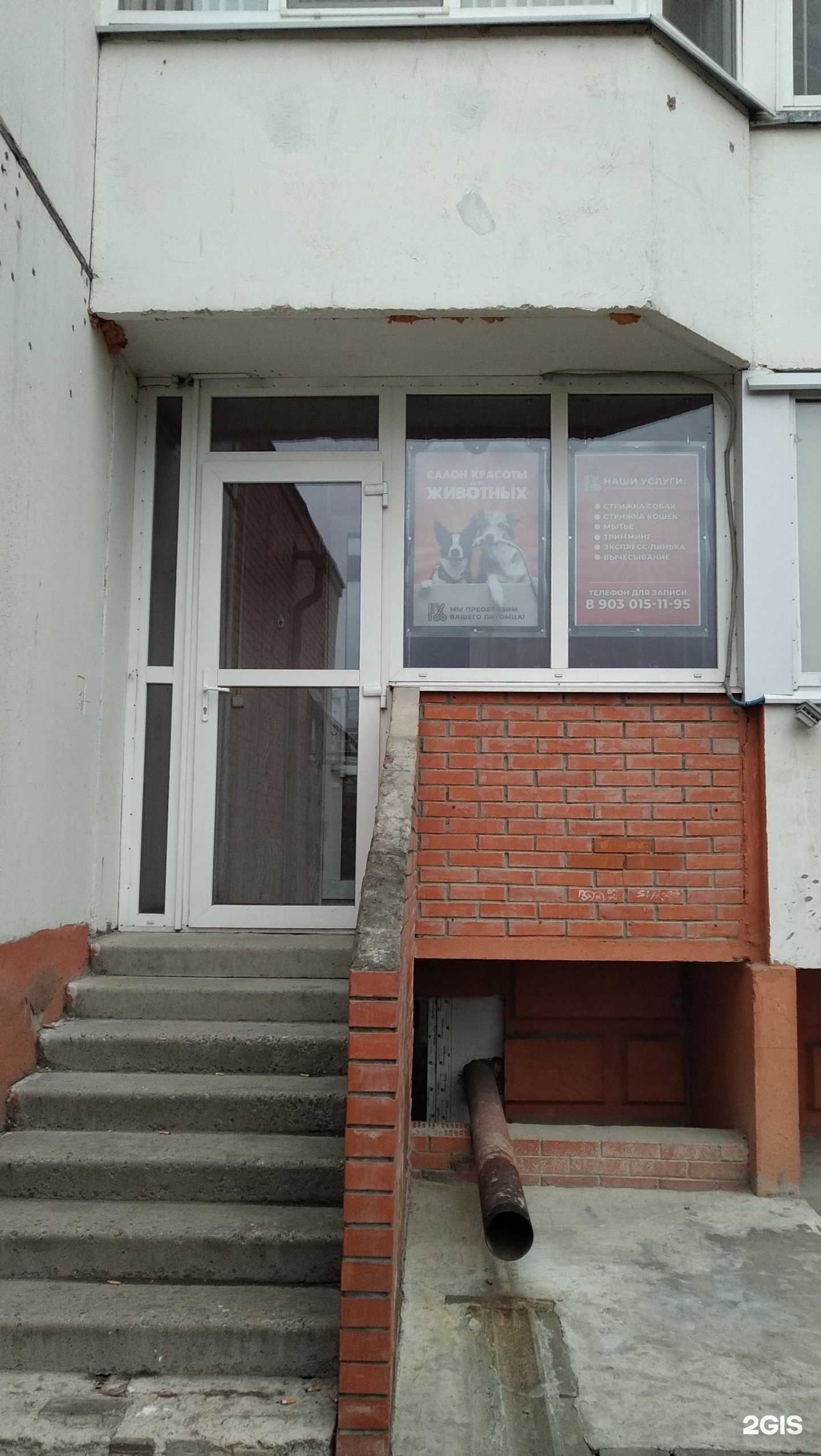 Отзывы на компанию Крошка енот в Серпухове c фото