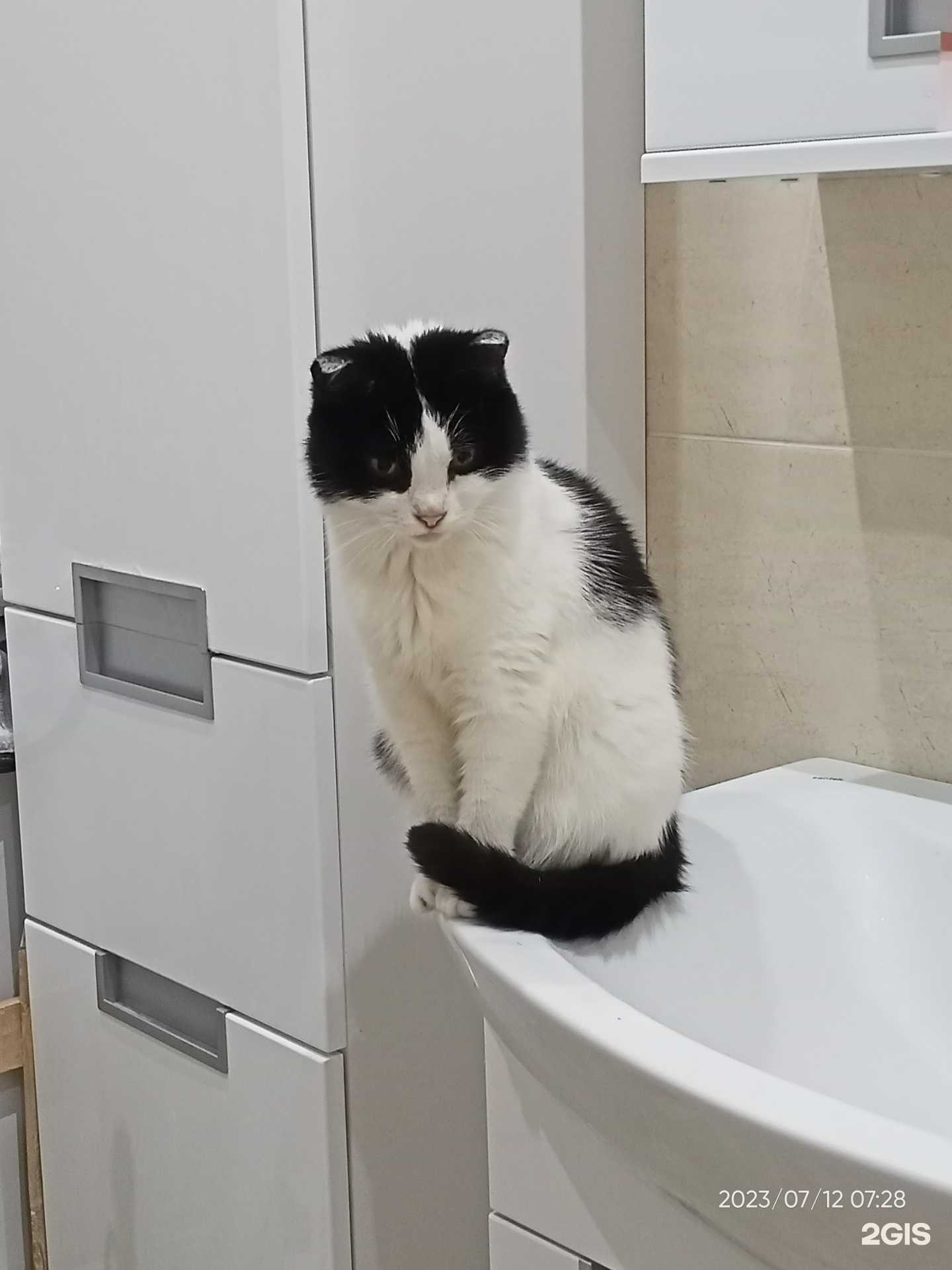 Отзывы на компанию 4 с хвостиком в г. Белгород c фото