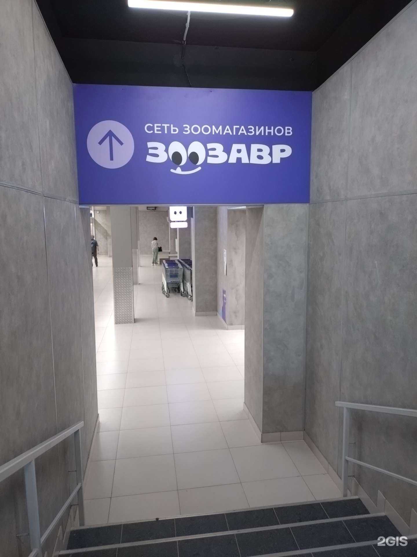 Отзывы на компанию Зоозавр в г. Чебоксары c фото