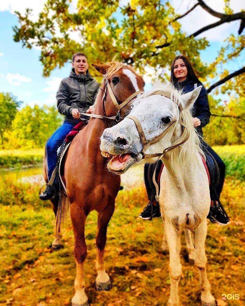 Отзывы на компанию Метелица в Пензе c фото