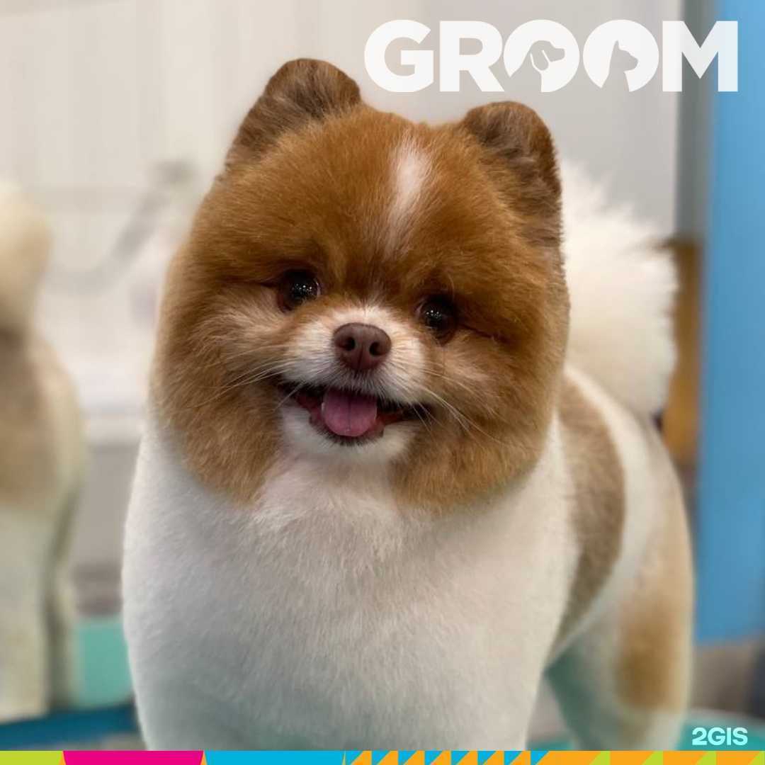 Отзывы на компанию Groom в г. Архангельск c фото