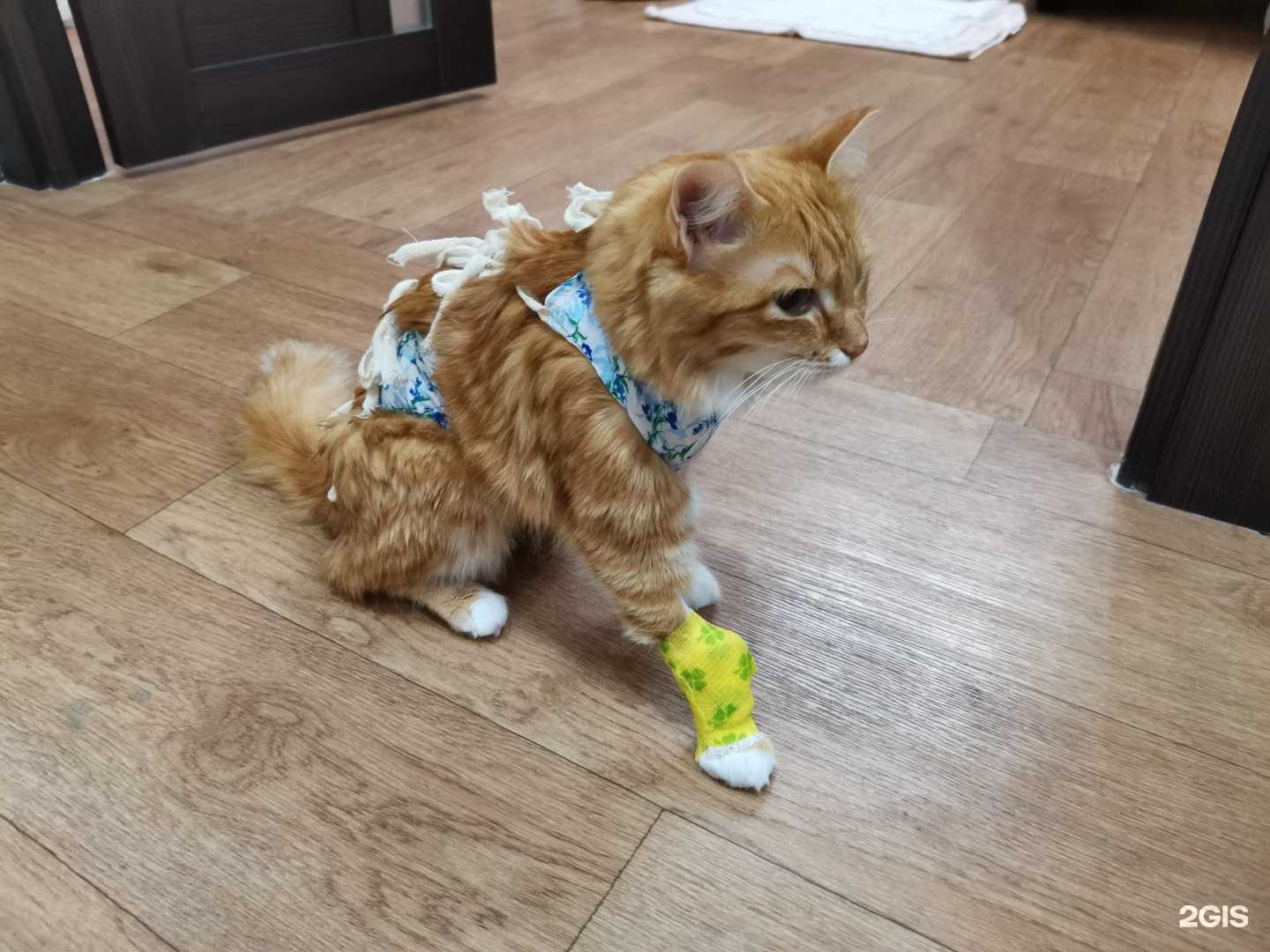 Отзывы на компанию A/Isvet в Нижневартовске c фото