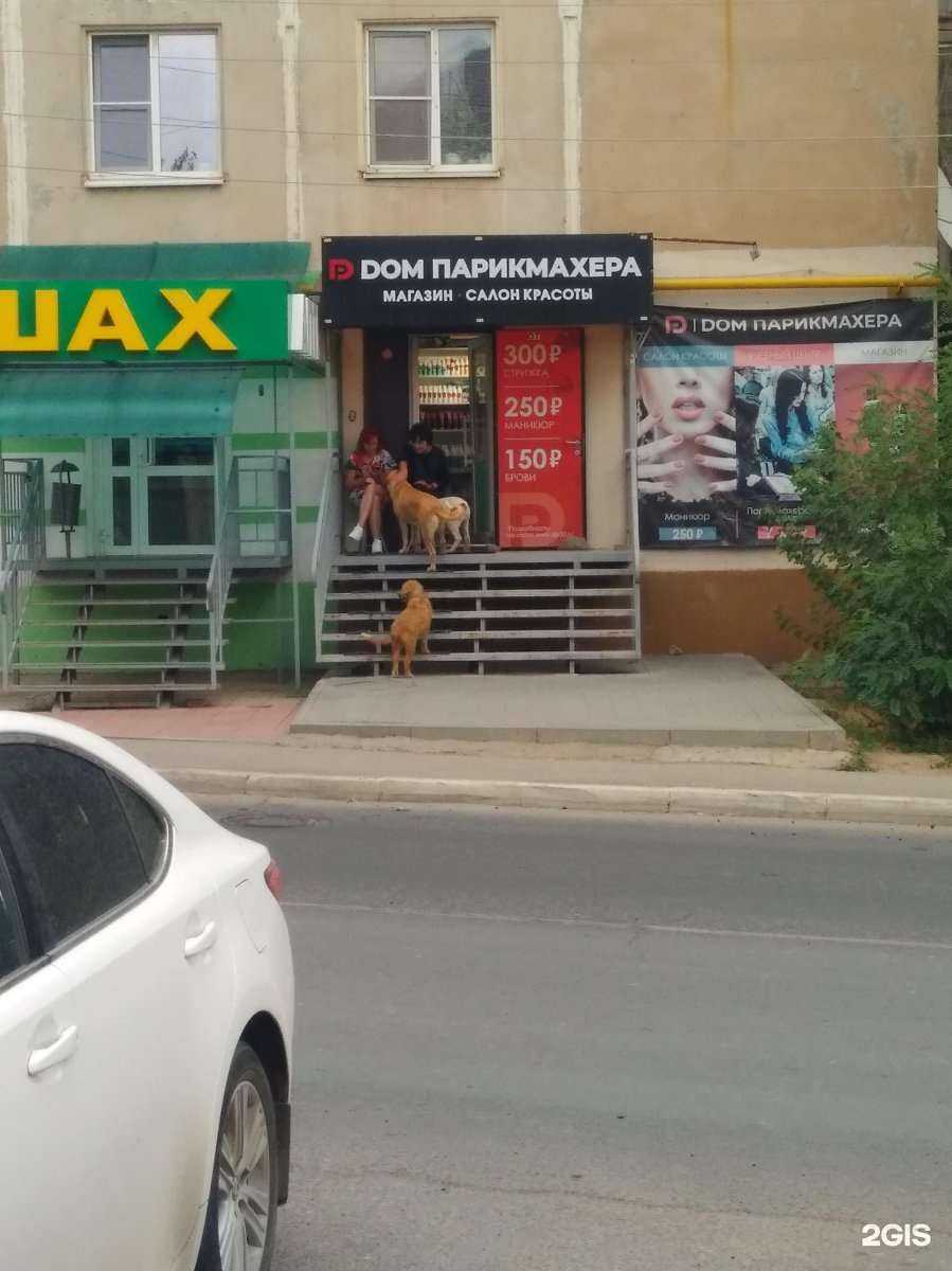 Отзывы на компанию Дом парикмахера в г. Астрахань c фото