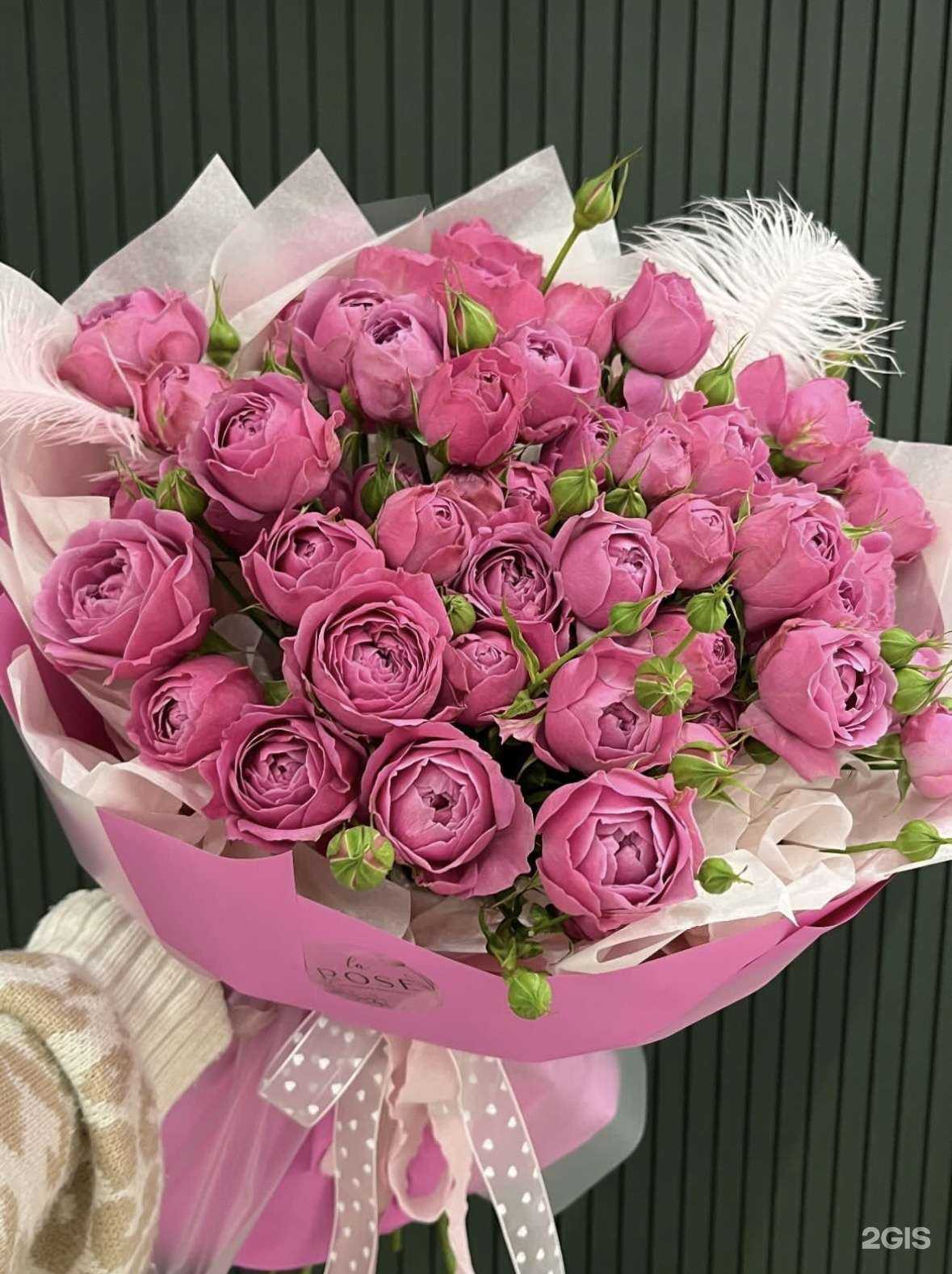 Отзывы на компанию La rose в Армавире c фото