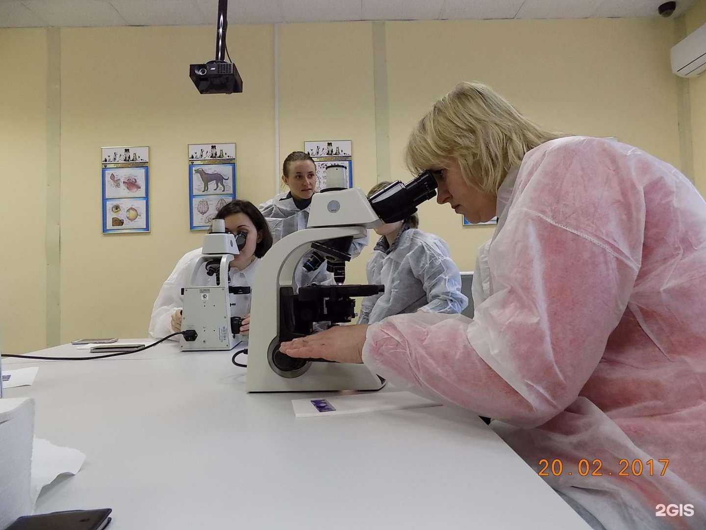 Отзывы на компанию Ветеринарный центр патоморфологии и лабораторной диагностики доктора Н.В. Митрохиной в г. Тула c фото