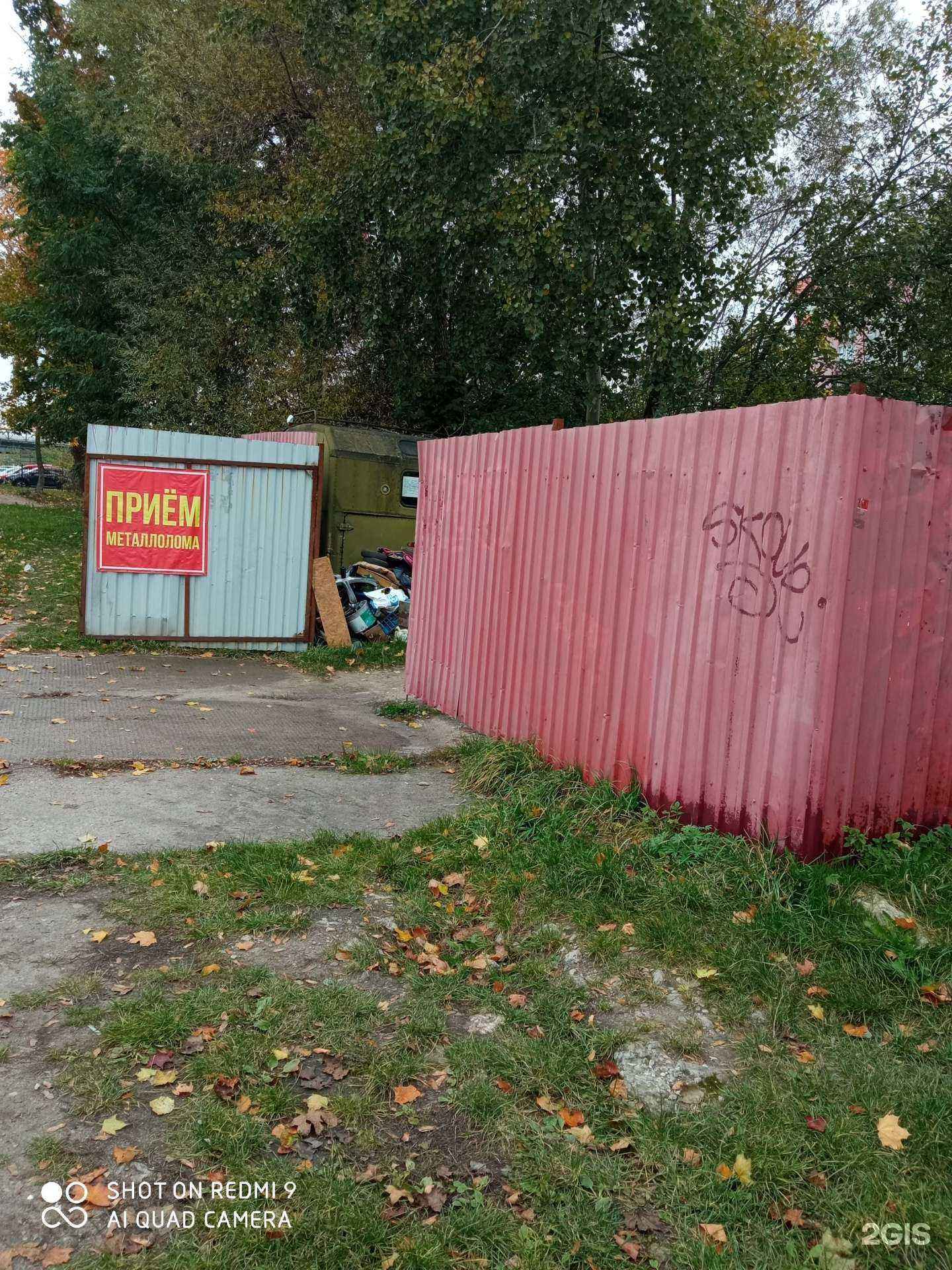 Отзывы на компанию Кремний 39 в г. Калининград c фото