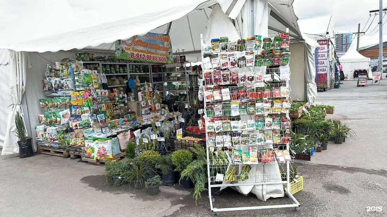 Отзывы на компанию Летнее настроение в г. Пермь c фото