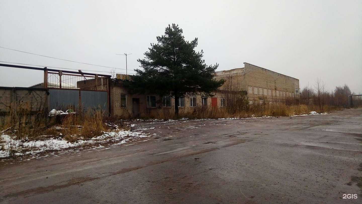 Отзывы на компанию Старбайт в Костроме c фото