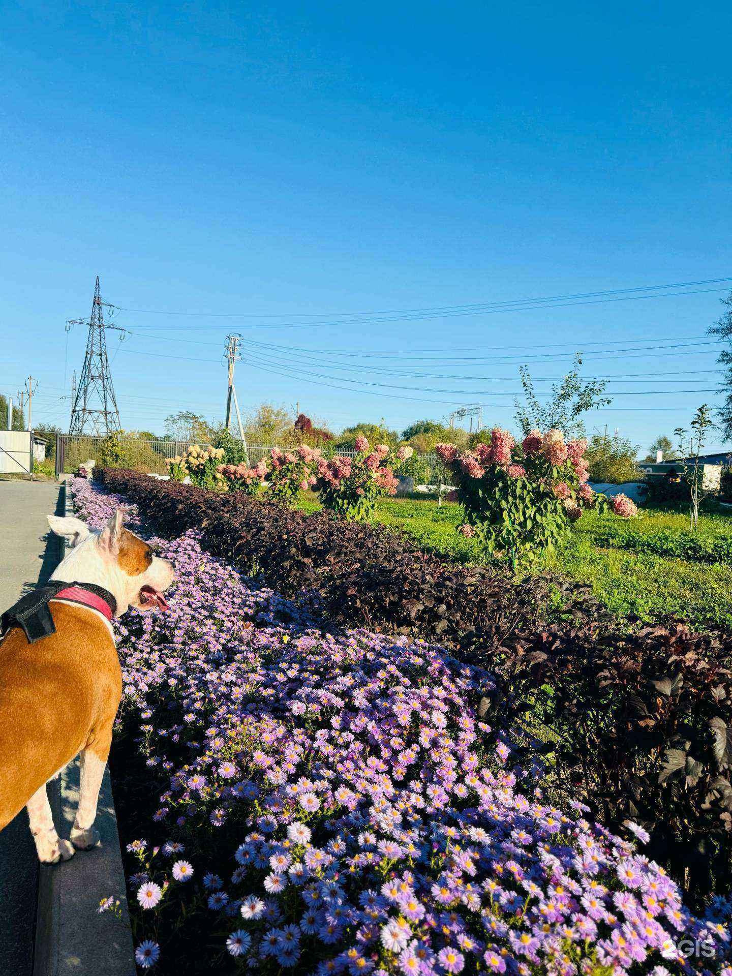 Отзывы на компанию Котофей в г. Артём c фото