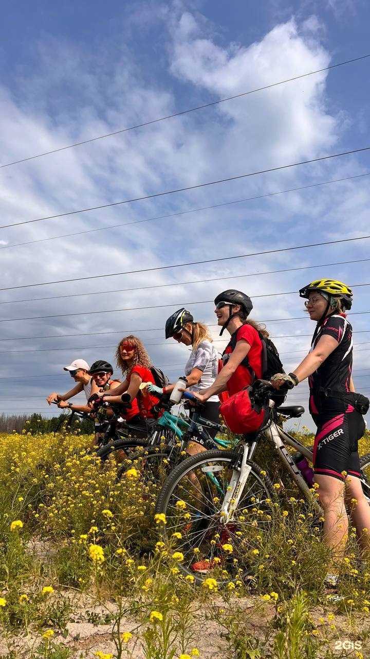 Отзывы на компанию Balance  в Тюмени c фото