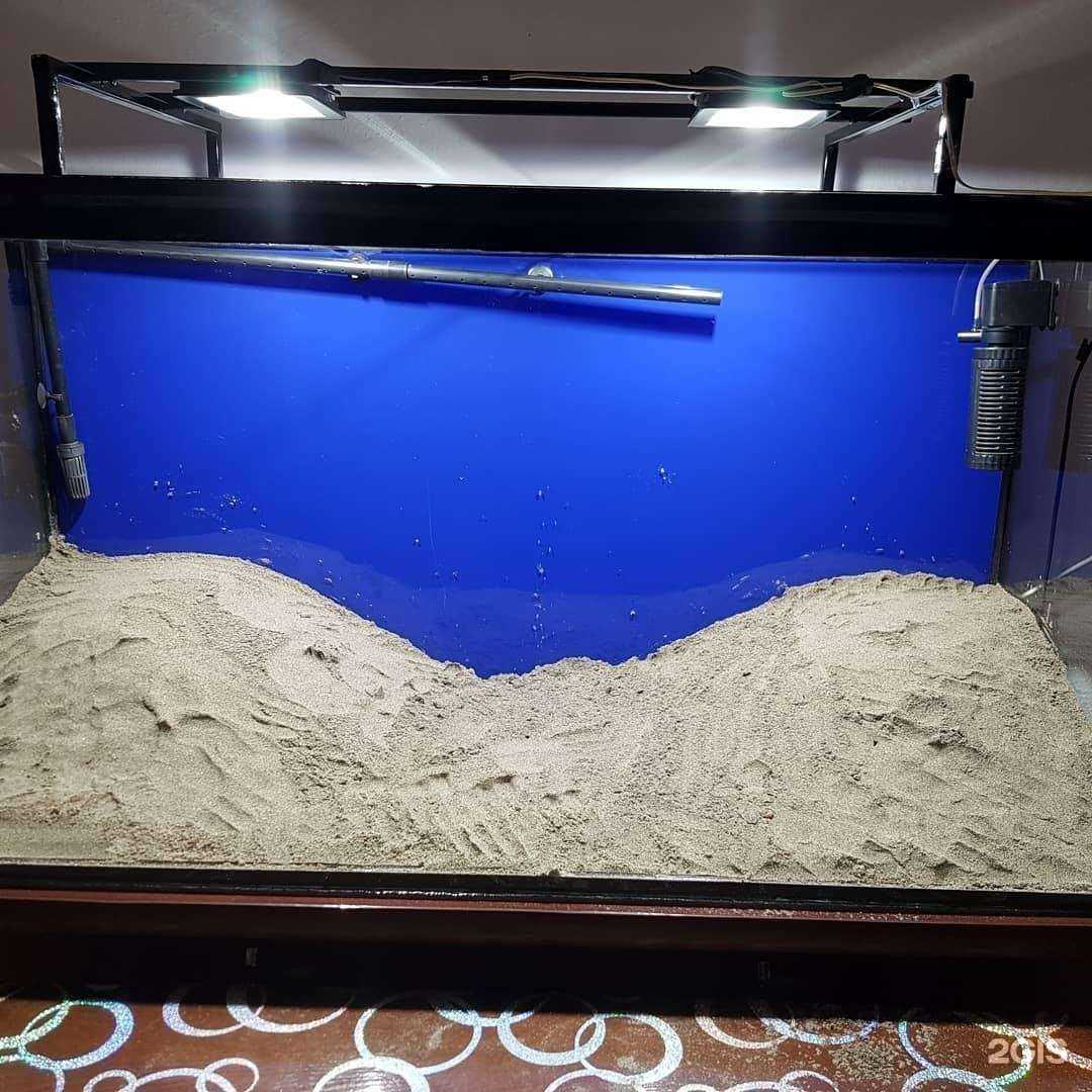 Отзывы на компанию Зоомагазин в г. Хасавюрт c фото