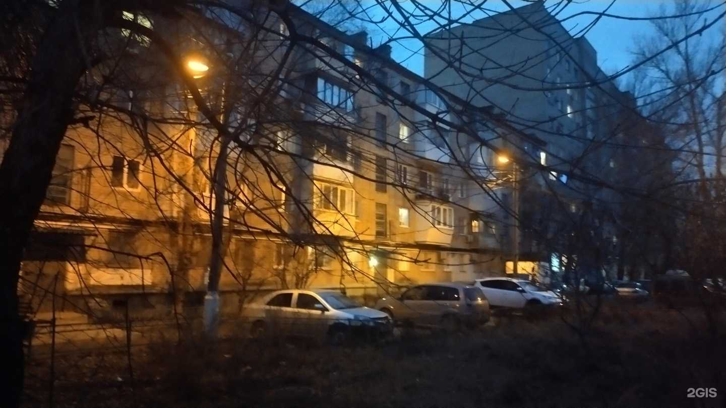 Отзывы на компанию Зоомир в Волгограде c фото - фотография 2 из 2