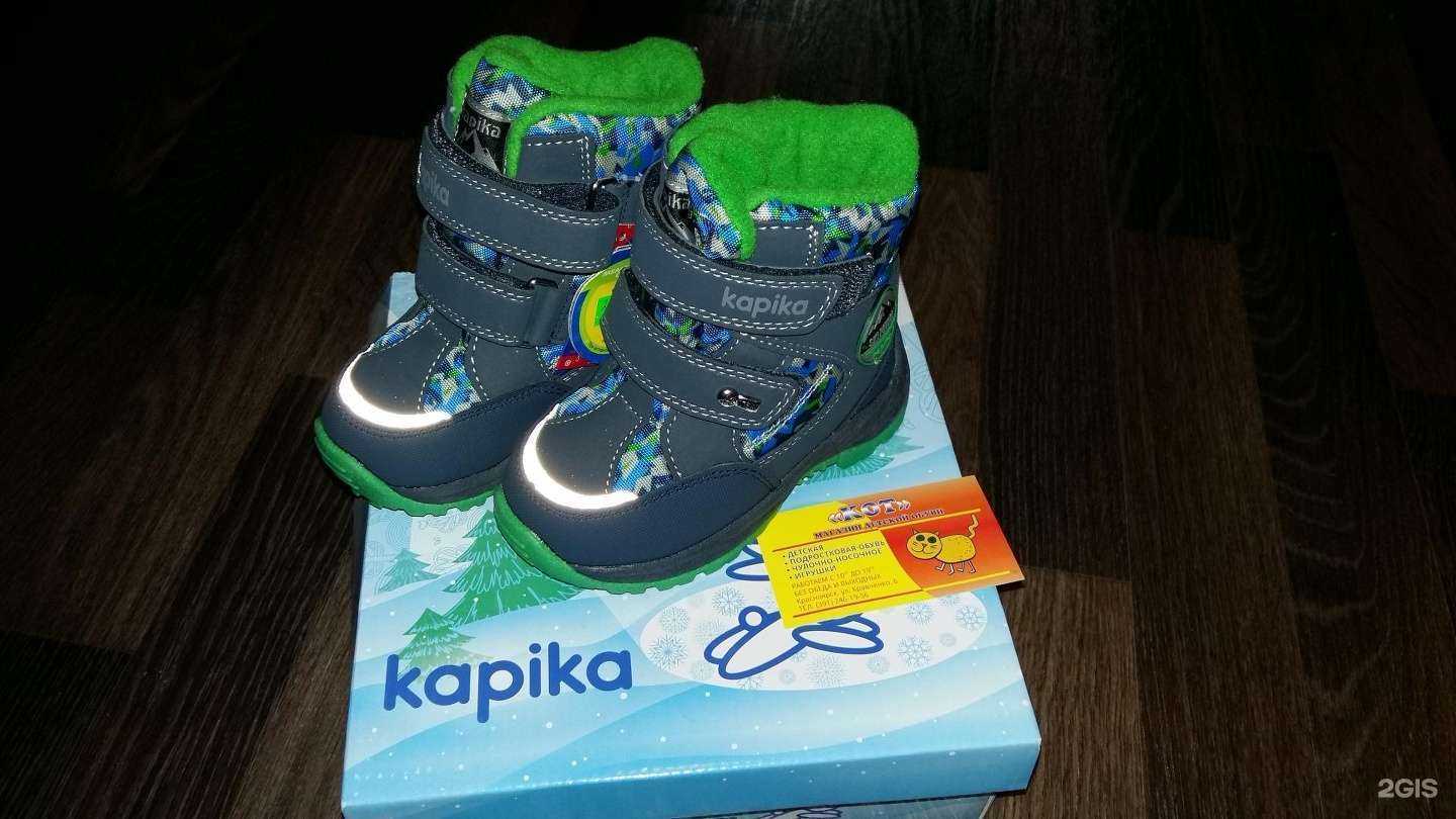 Отзывы на компанию Кот в Красноярске c фото