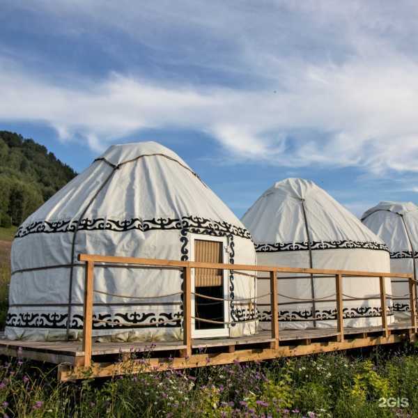 Отзывы на компанию Арго в Барнауле c фото