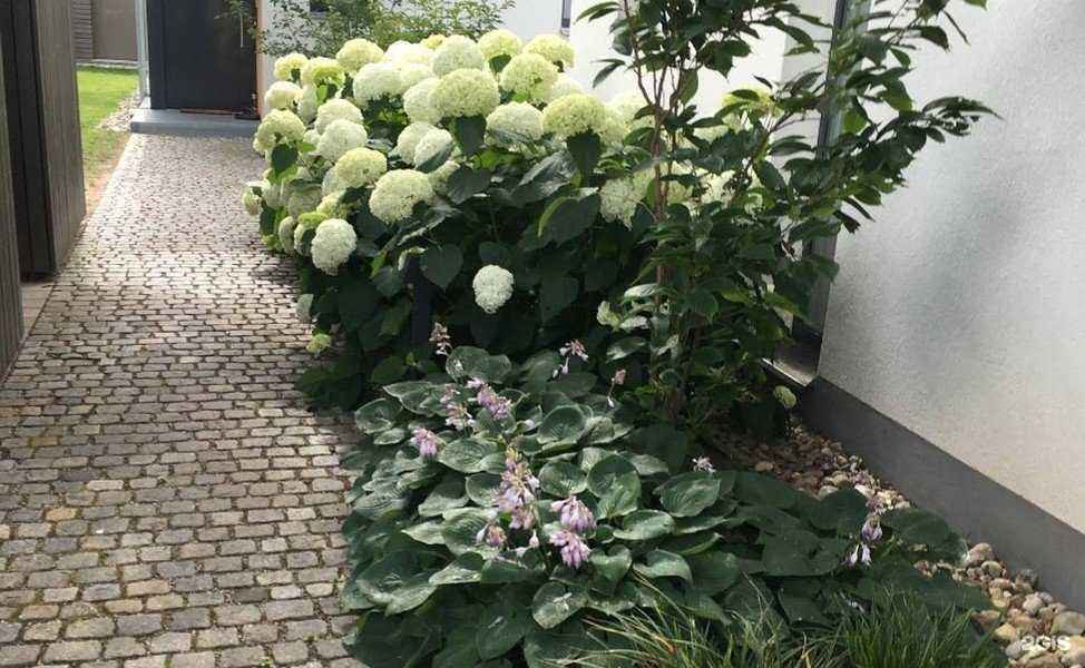 Отзывы на компанию ДезСанПлюс в Иркутске c фото