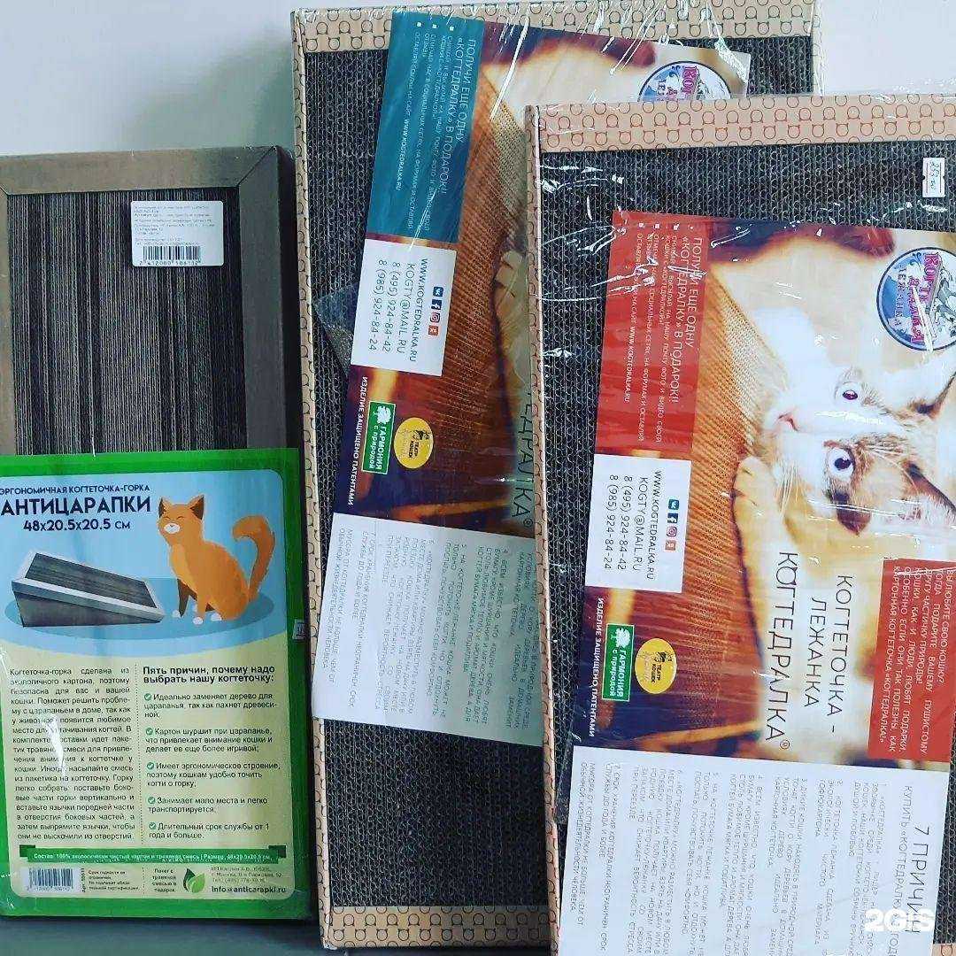 Отзывы на компанию ЗооЛапка в Ростове-на-Дону c фото