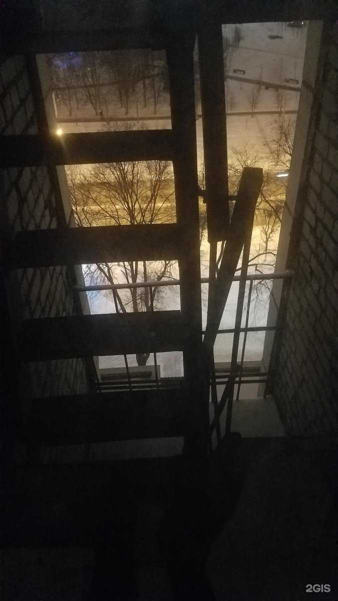 Отзывы на компанию Столички в г. Воронеж c фото