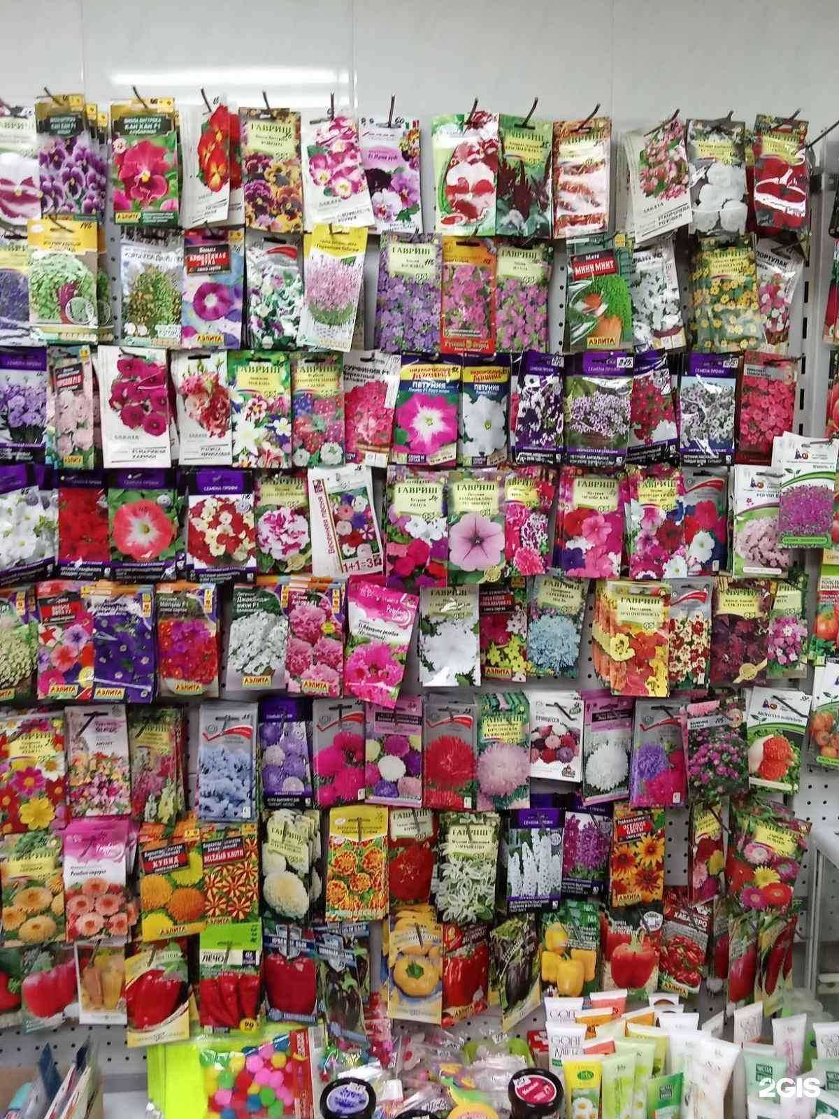 Отзывы на компанию Лето в Перми c фото