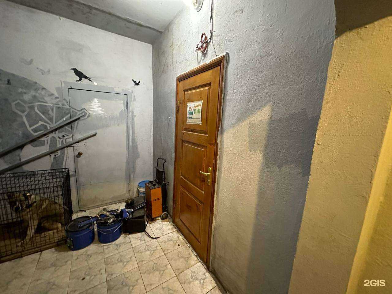 Отзывы на компанию Кот и пёс во Врангеле в г. Находка c фото