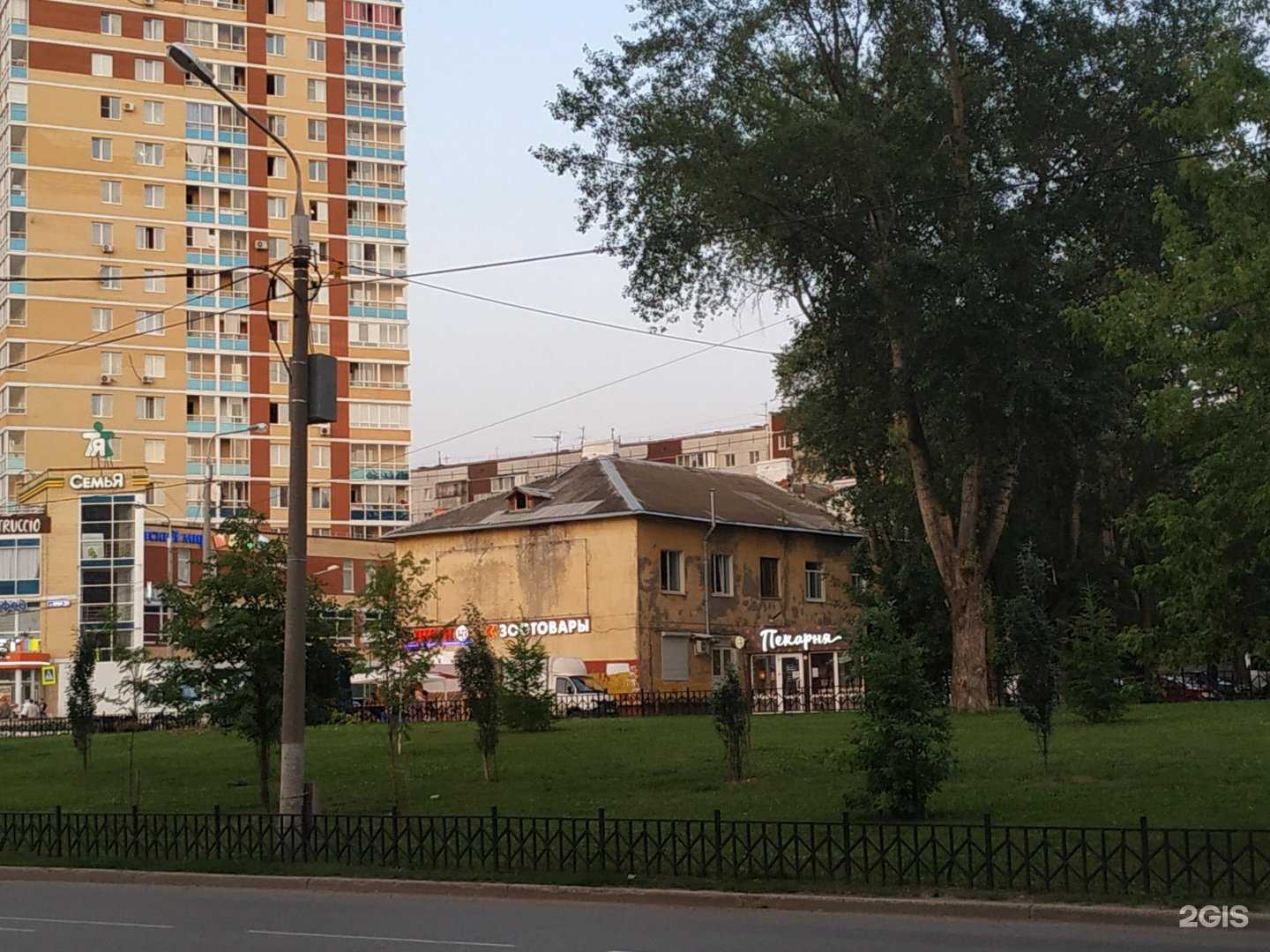 Отзывы на компанию Мой зверь в Перми c фото - фотография 2 из 2