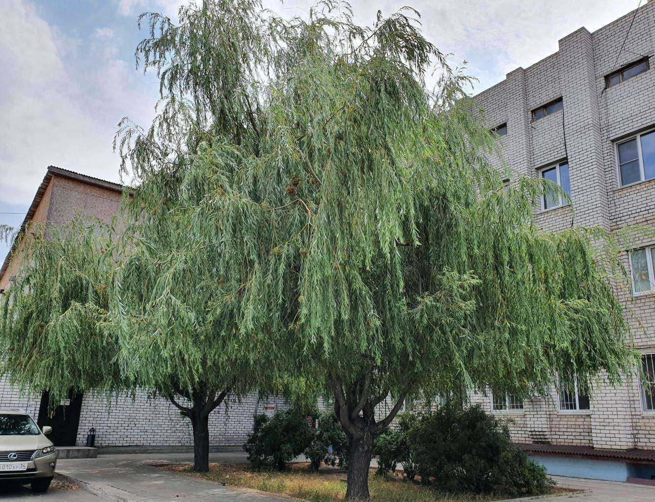 Отзывы на компанию НВТЦ Электроника в Волгограде c фото - фотография 2 из 2