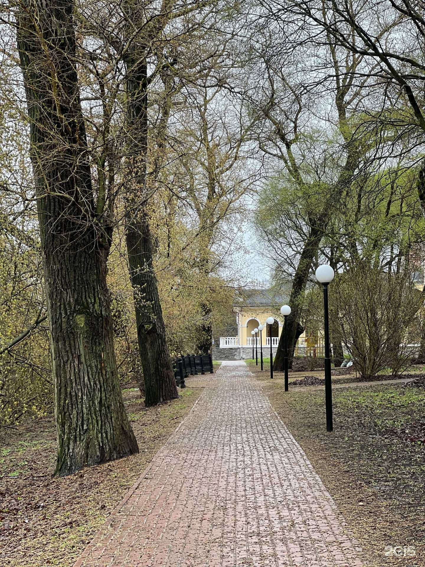 Отзывы на компанию Yumi_brow в Вологде c фото