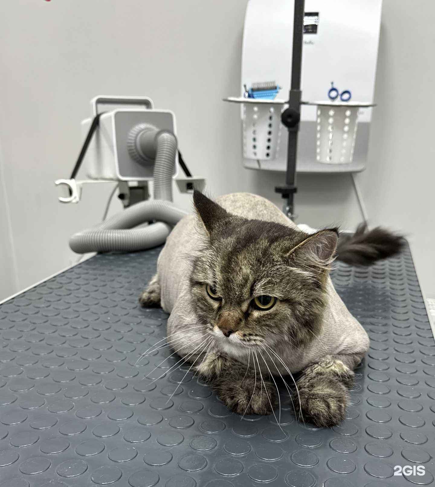 Отзывы на компанию Star City в г. Тюмень c фото