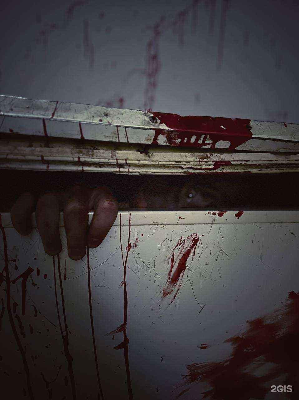 Отзывы на компанию Крик в Барнауле c фото