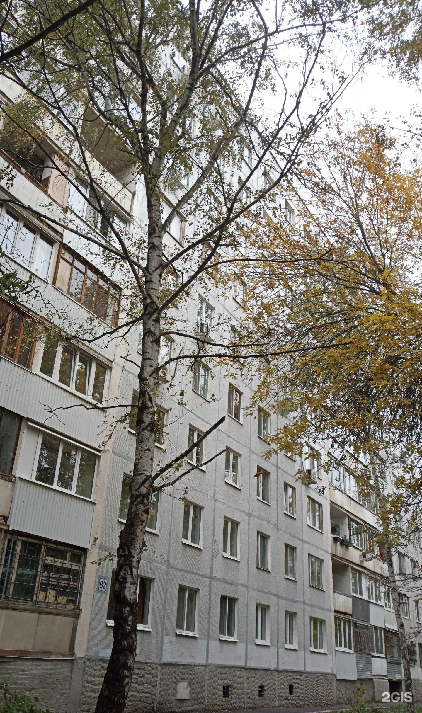 Отзывы на компанию Компания гелиевых шаров и упаковки подарков в Самаре c фото - фотография 2 из 2