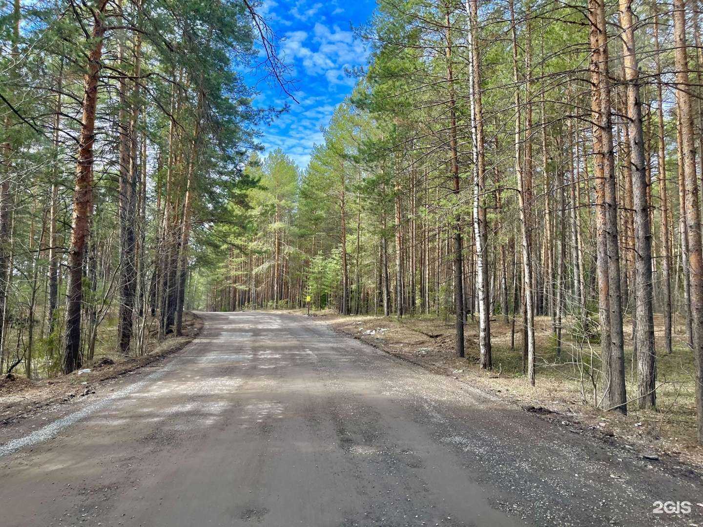 Отзывы на компанию Inmagazin.biz в г. Пермь c фото