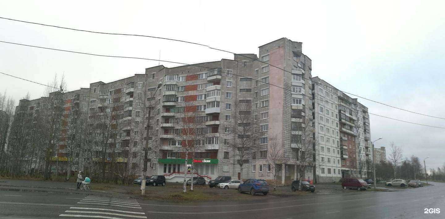 Отзывы на компанию Абрикоса в Северодвинске c фото - фотография 2 из 2