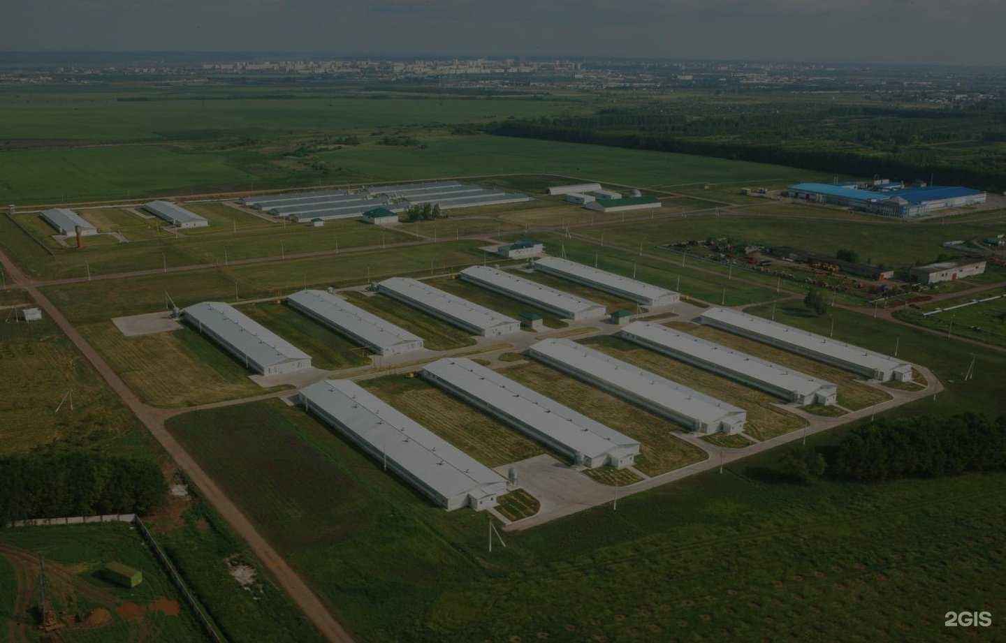 Отзывы на компанию Агросила в Елабуге c фото