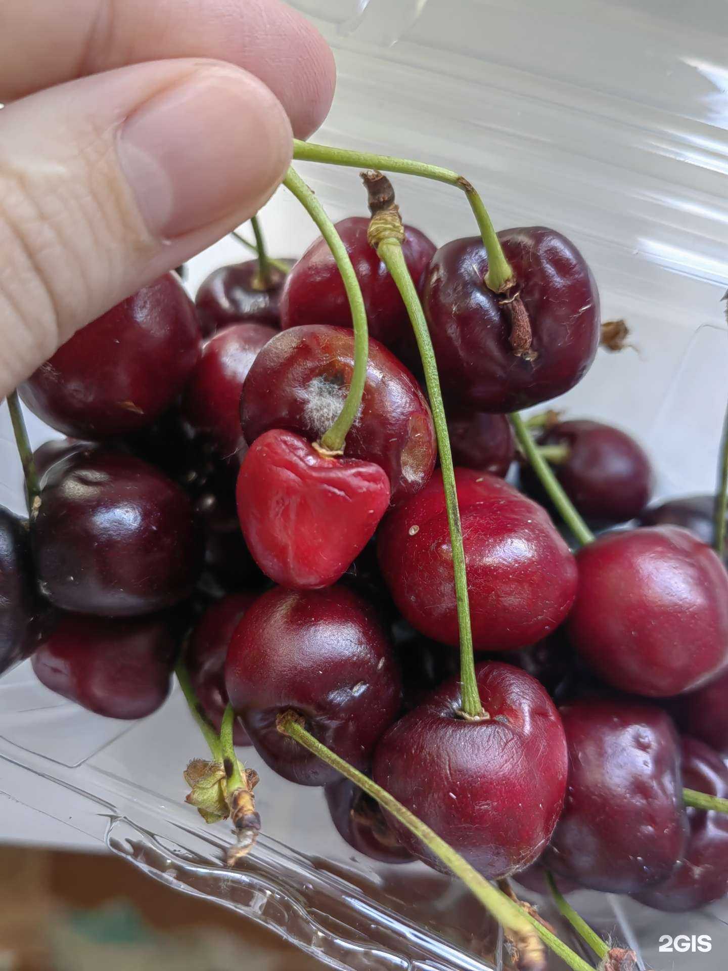 Отзывы на компанию Самокат в Челябинске c фото