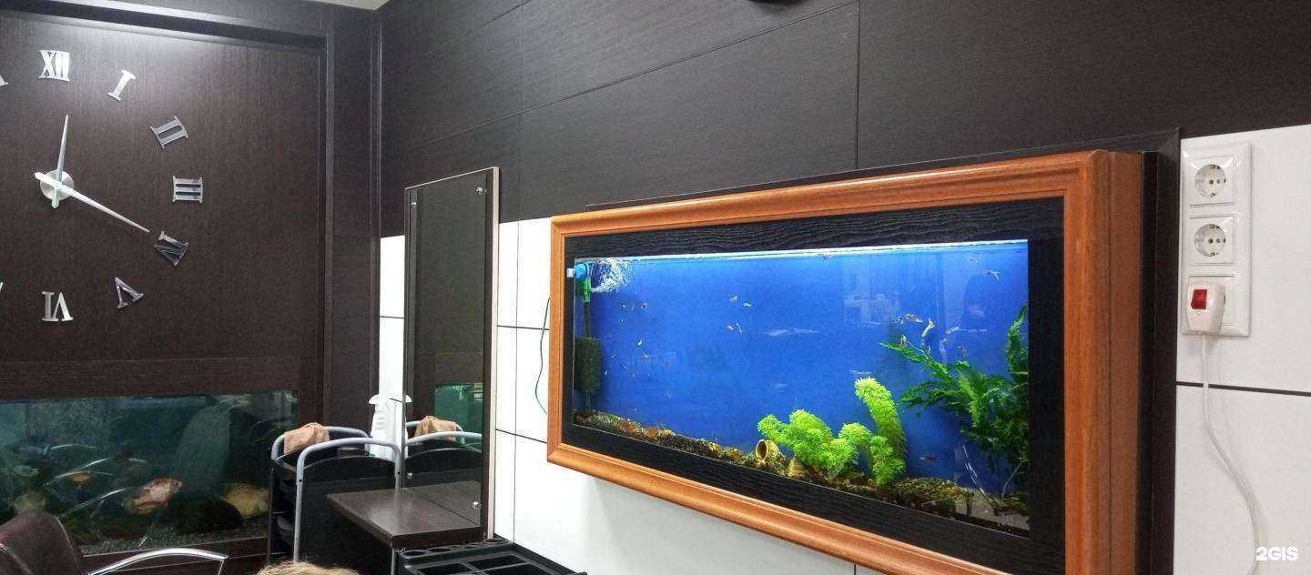 Отзывы на компанию Стэм в г. Тольятти c фото