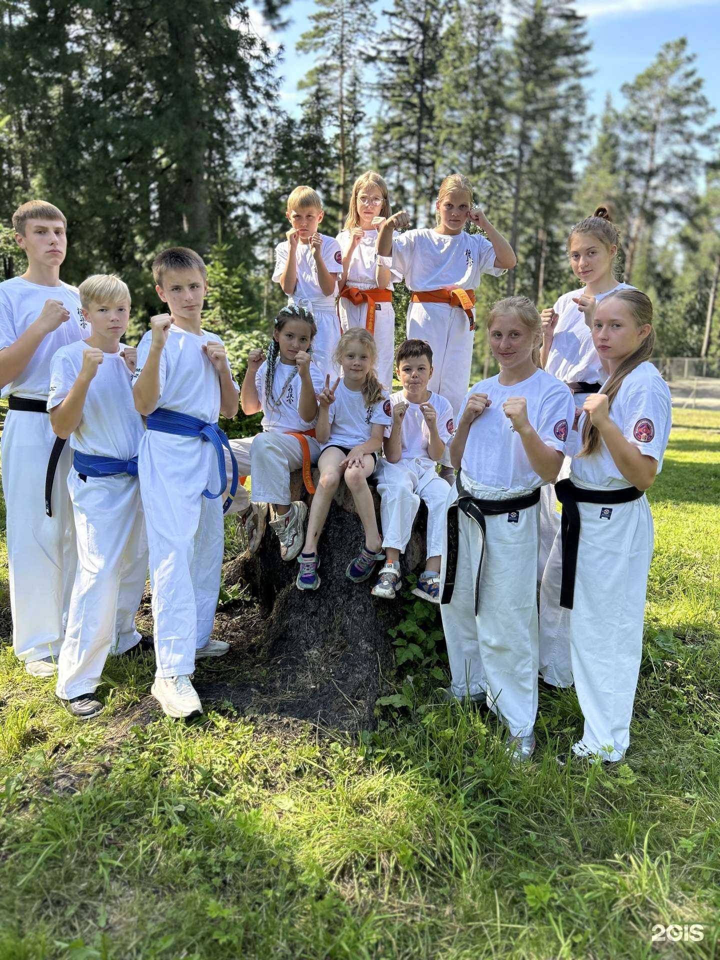 Отзывы на компанию Everest в Кемерове c фото