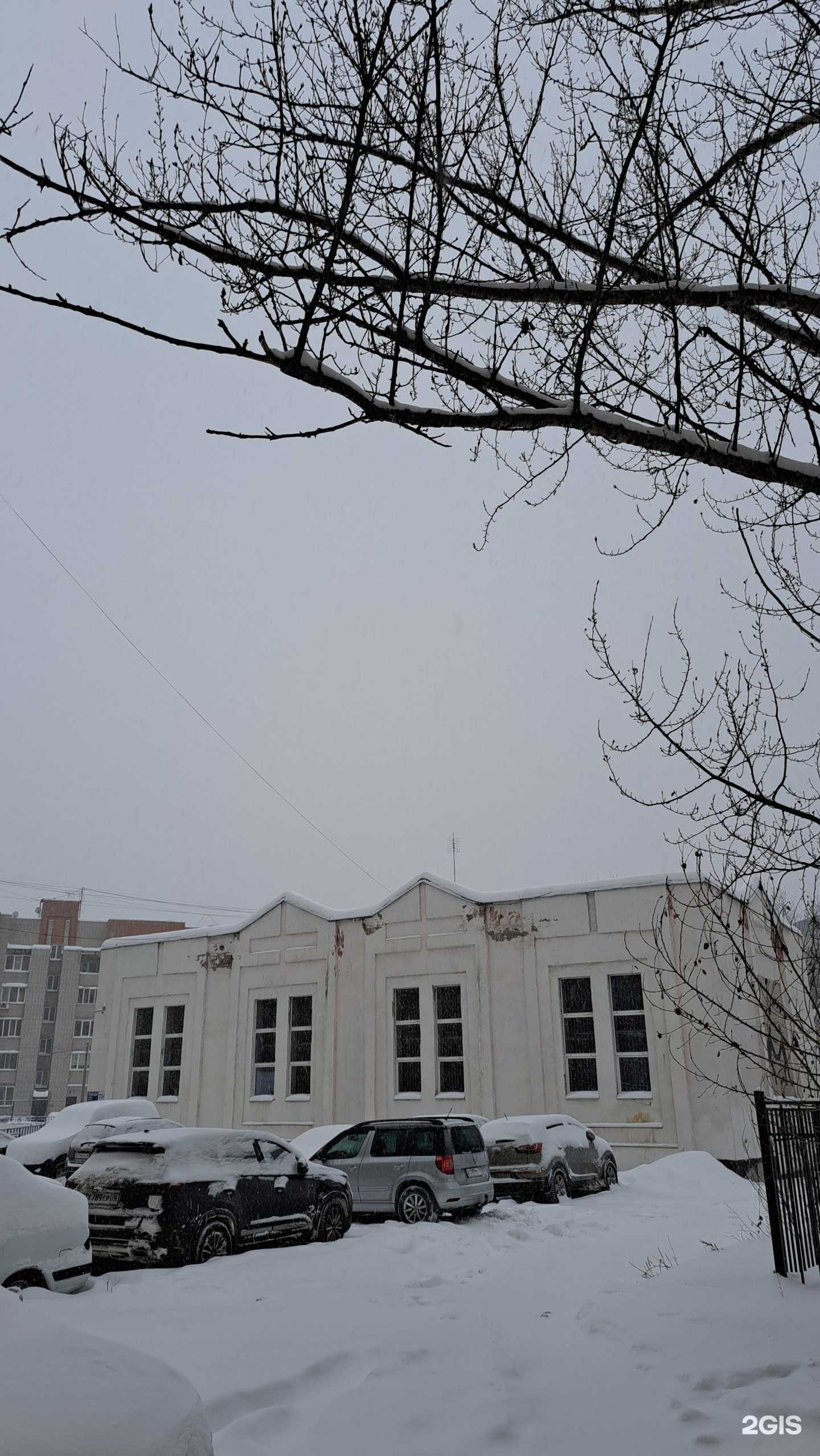 Отзывы на компанию Медведь в Ярославле c фото - фотография 2 из 2