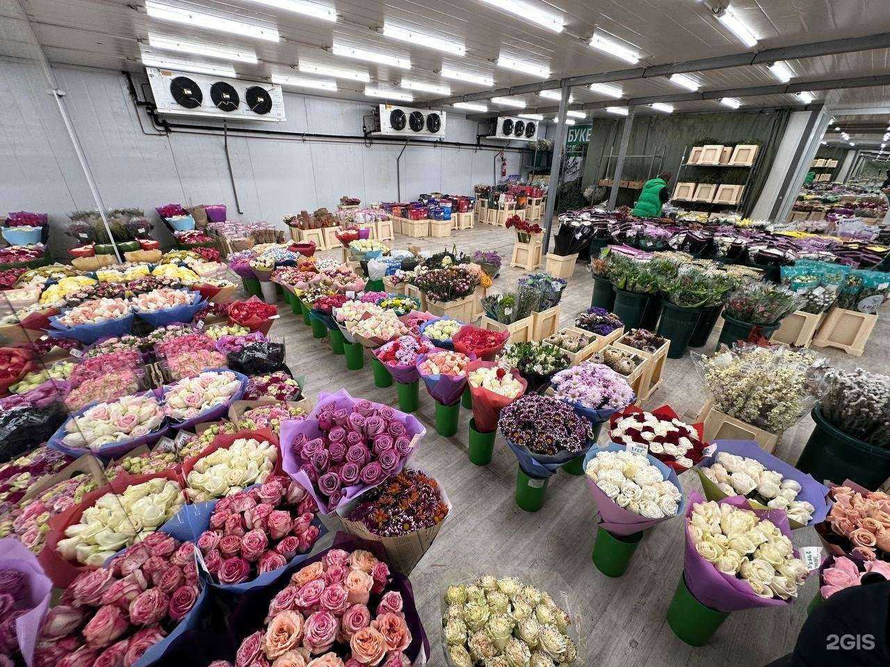 Отзывы на компанию Цветоптторг в г. Гатчина c фото