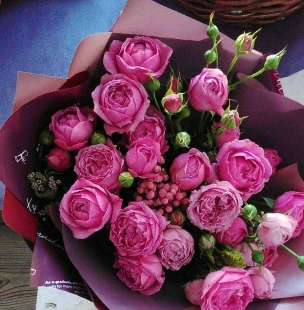 Отзывы на компанию Лотос в Стерлитамаке c фото