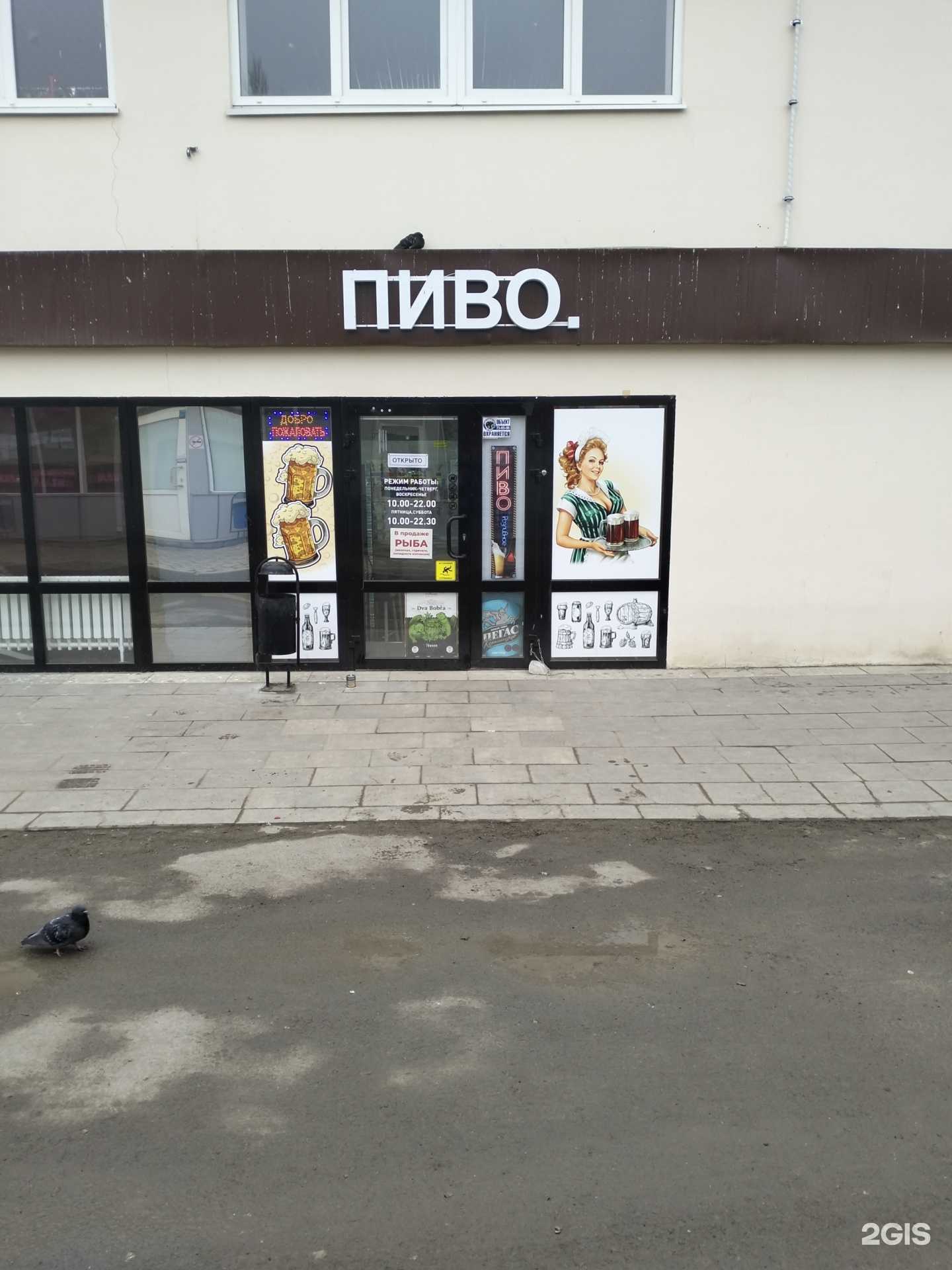 Отзывы на компанию Пиво. в Волгограде c фото