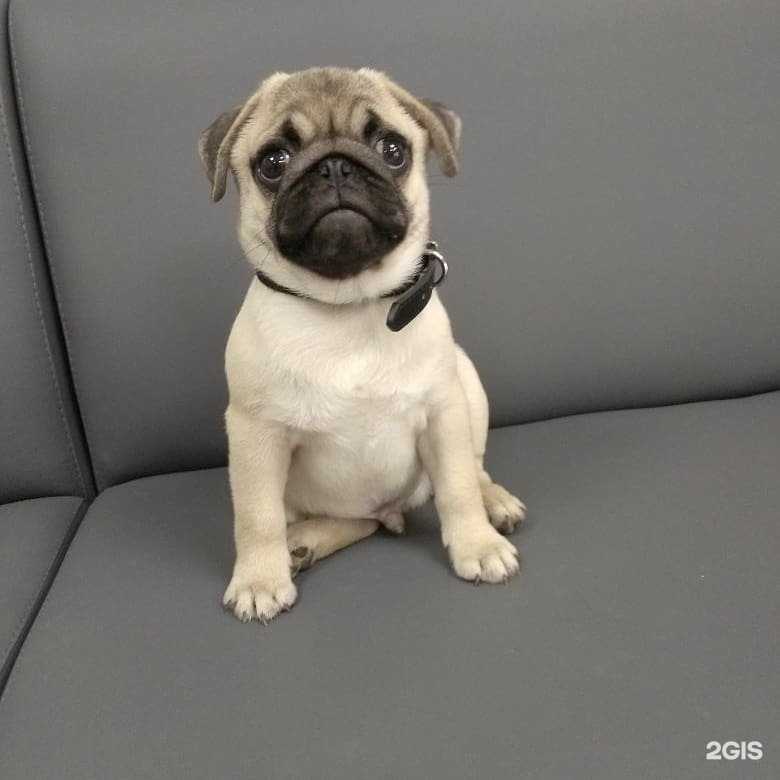 Отзывы на компанию Барни в Чебоксарах c фото