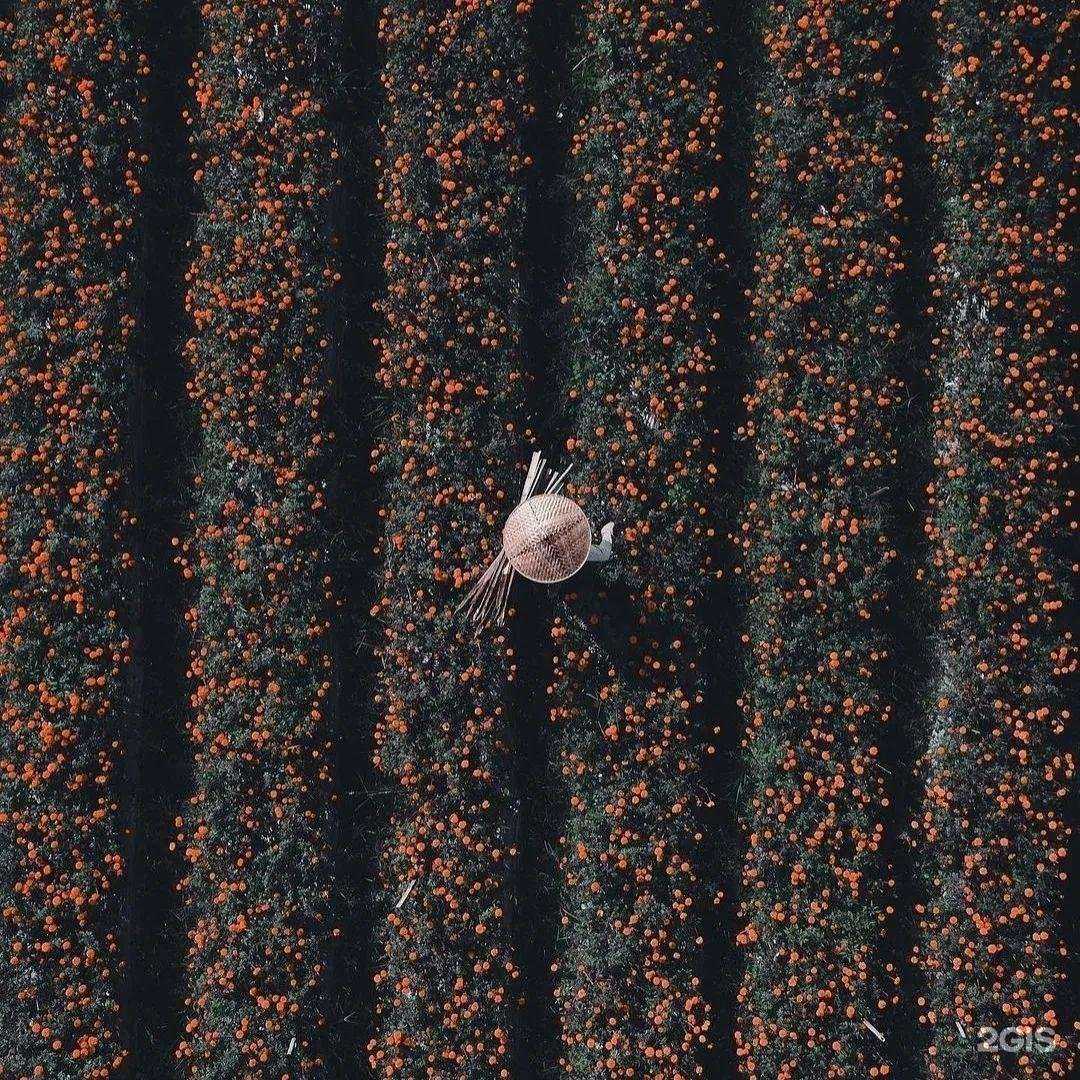 Отзывы на компанию Либерти в Сургуте c фото