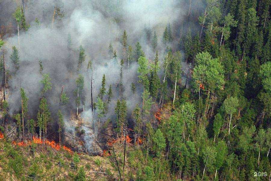 Отзывы на компанию Татполимер Трейд в г. Набережные Челны c фото