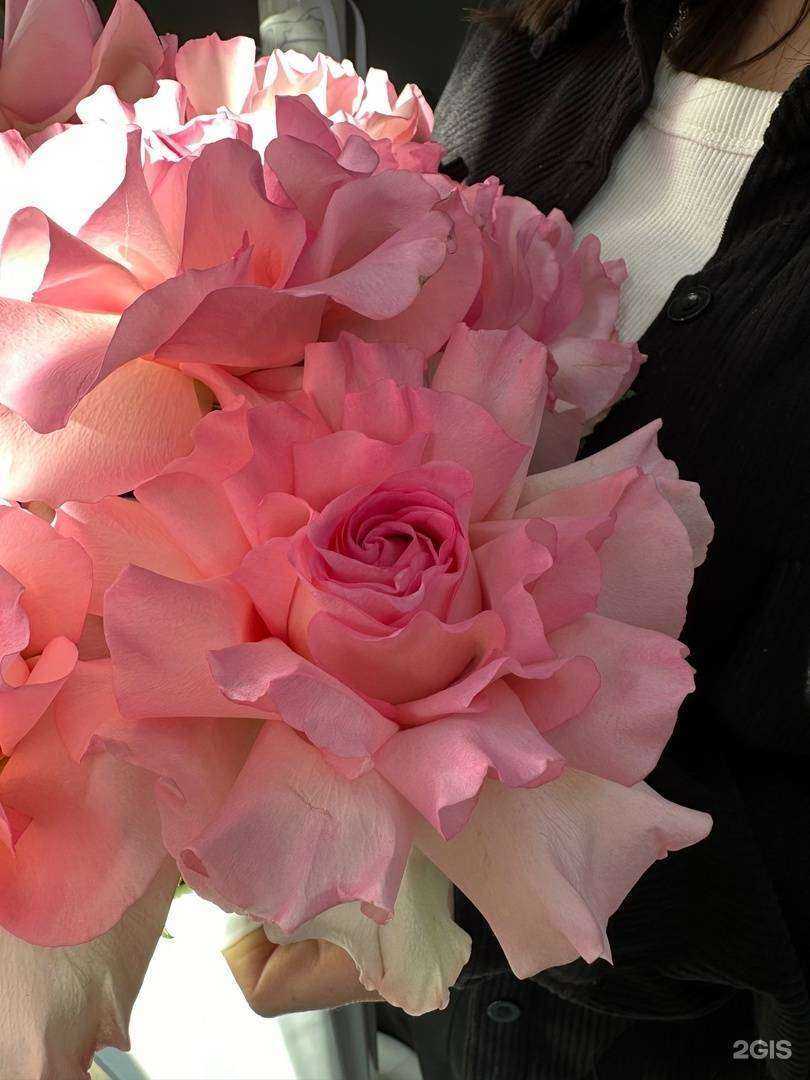 Отзывы на компанию Розовый слон в Йошкар-Оле c фото