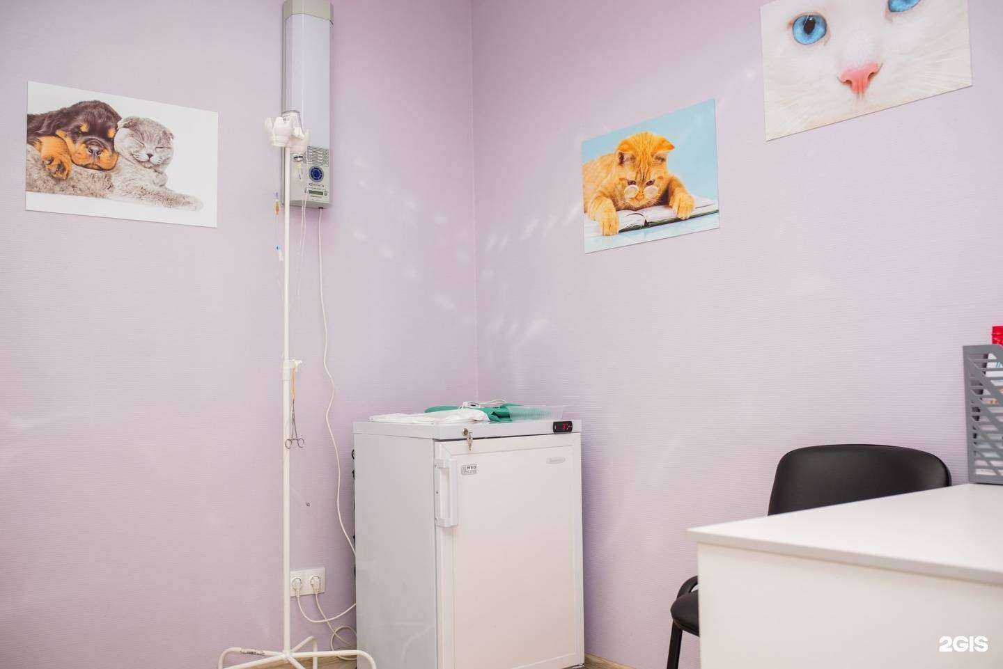 Отзывы на компанию Зверополис в Красноярске c фото