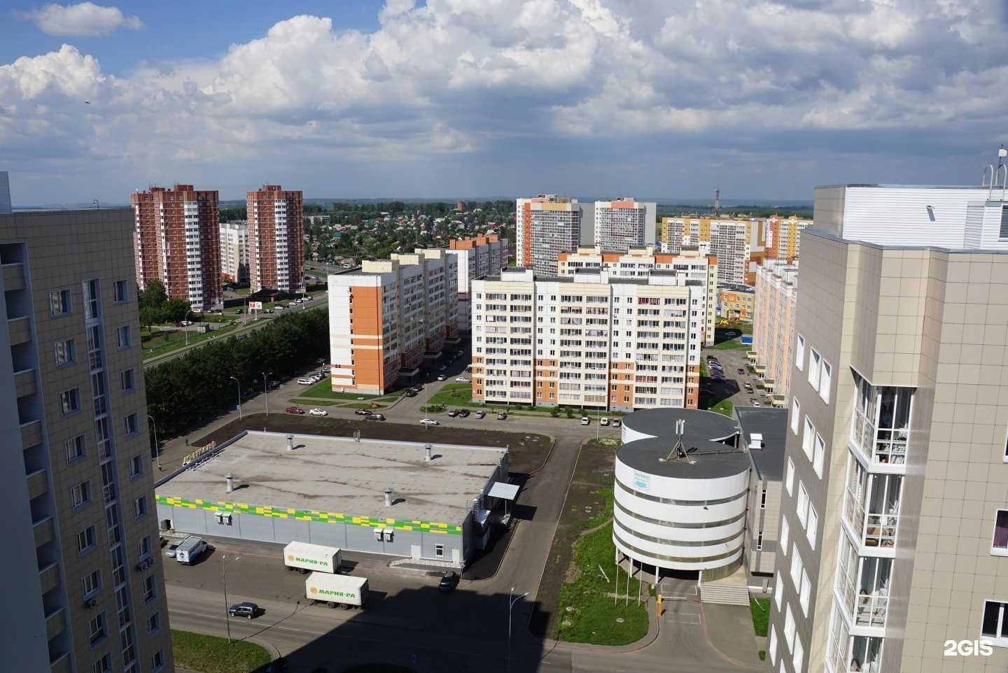 Отзывы на компанию Котопес в Кемерове c фото - фотография 2 из 2