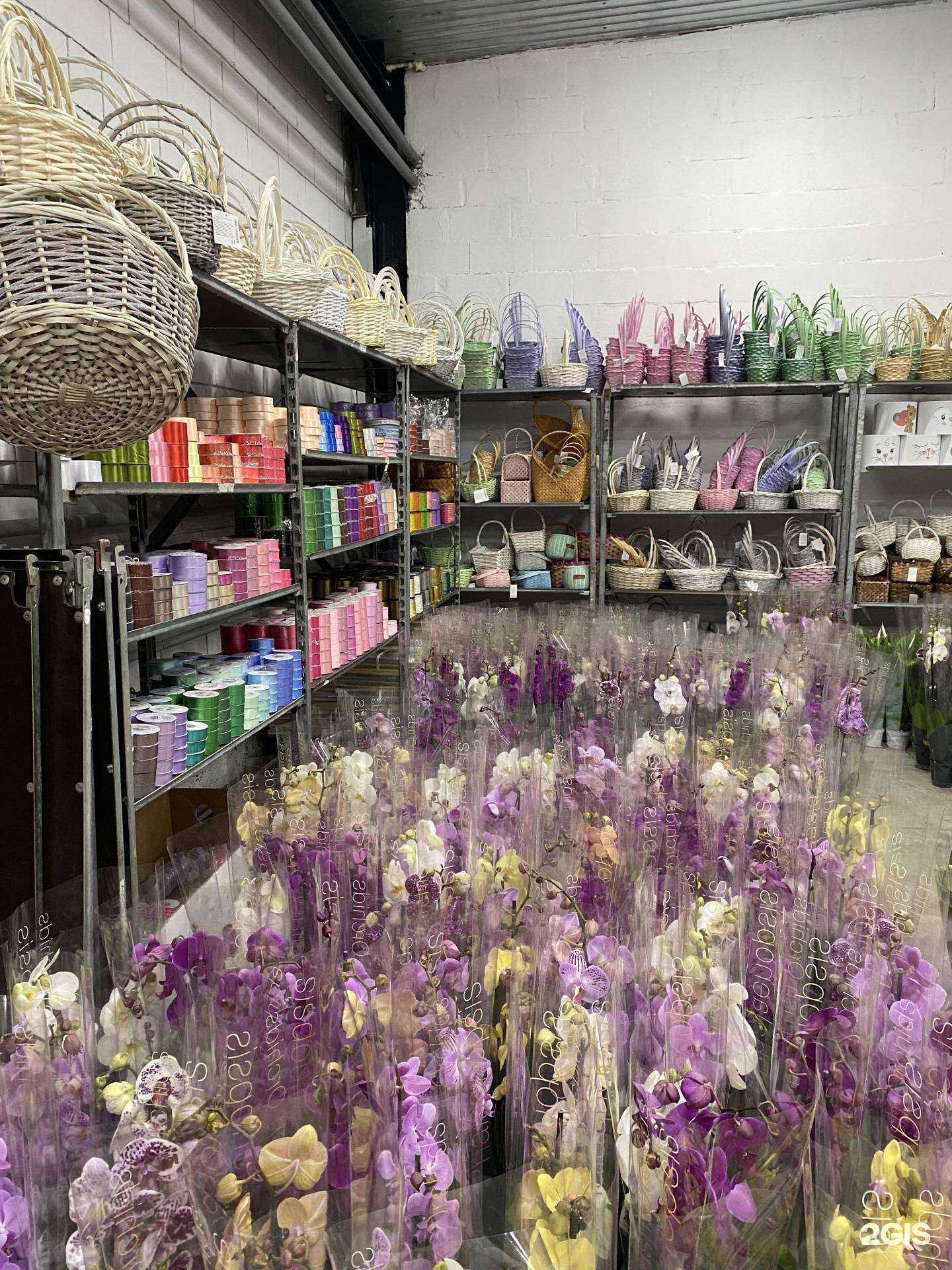 Отзывы на компанию Маки в Томске c фото